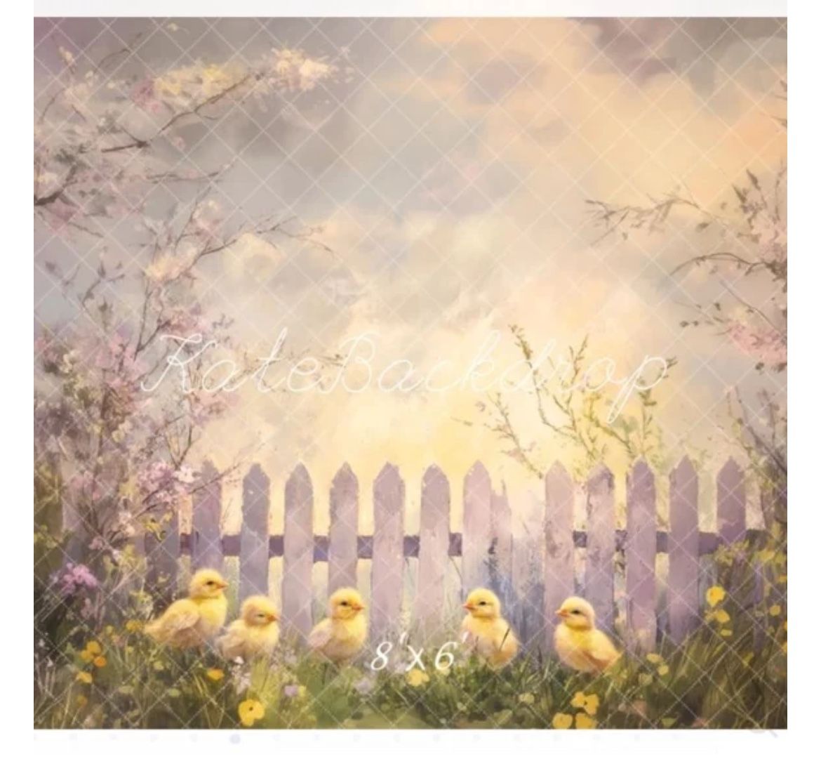 2 Photo Backdrops