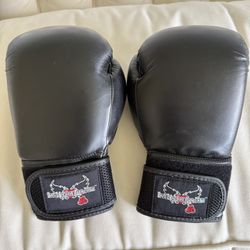 Kickboxing Gloves