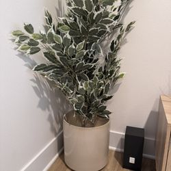Fake Living room Plant
