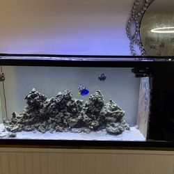 Salt Water FISHTANK And Stand ONLY