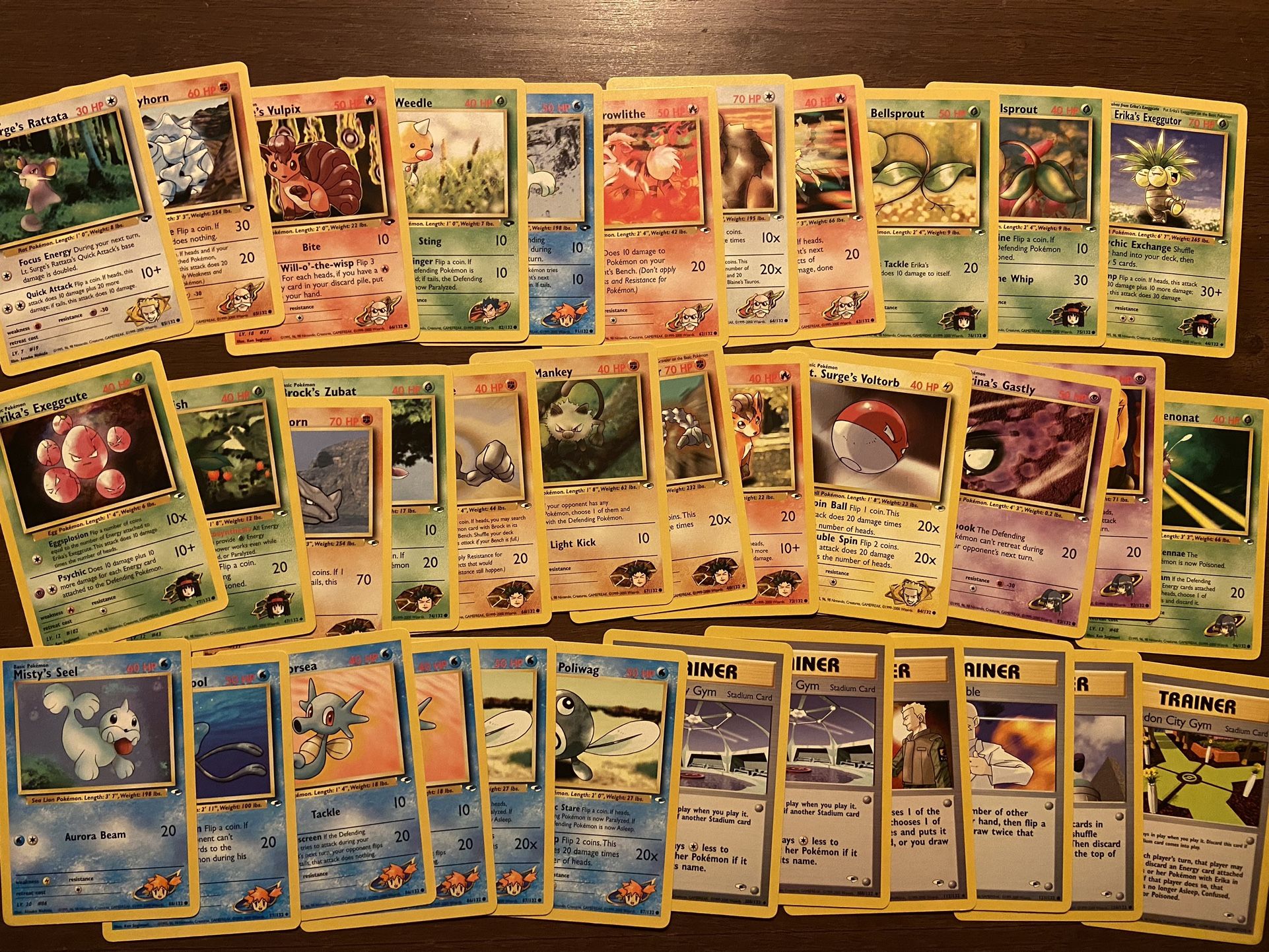 Pokémon Vintage Gym Heroes Bulk