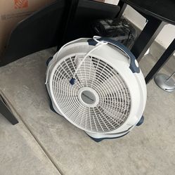 Fan