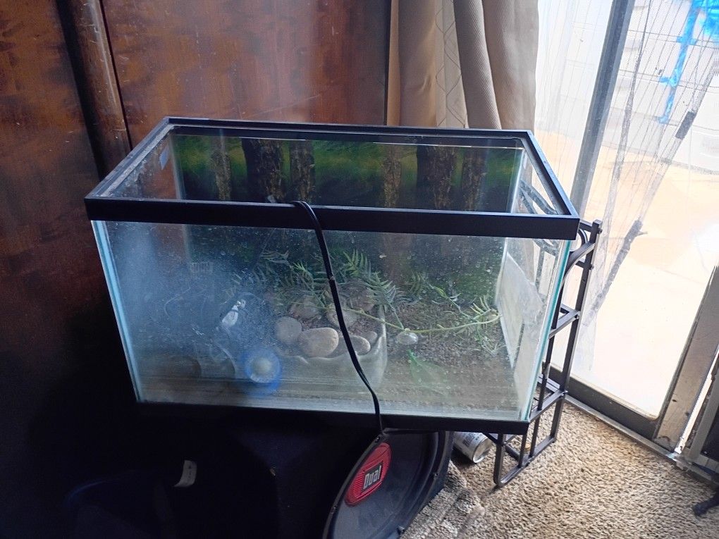 20" Aquarium W/All Items