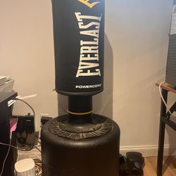 Stand-up punching bag
