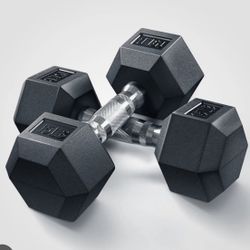 Customized Fitness Program - Workout Routines 