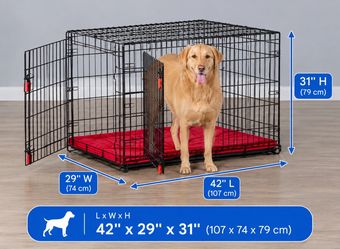 Kong Large Cage