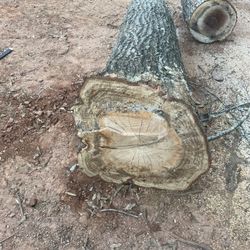 Firewood 
