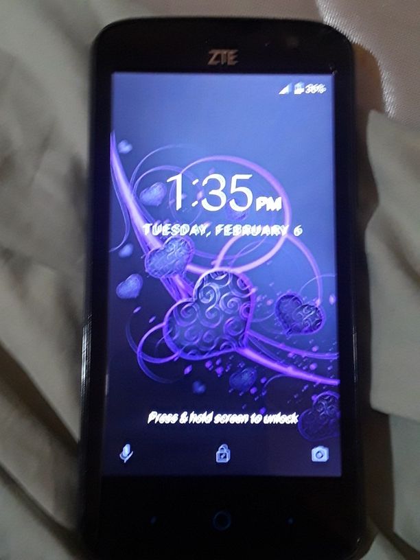ZTE Z899VL cell phone