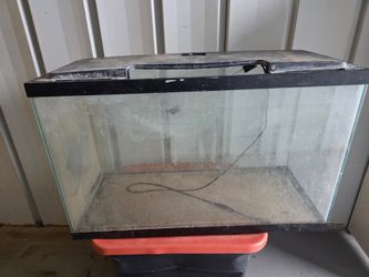 Aquarium Tank