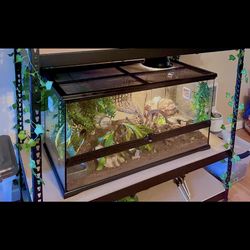 Reptile Tank With Doors