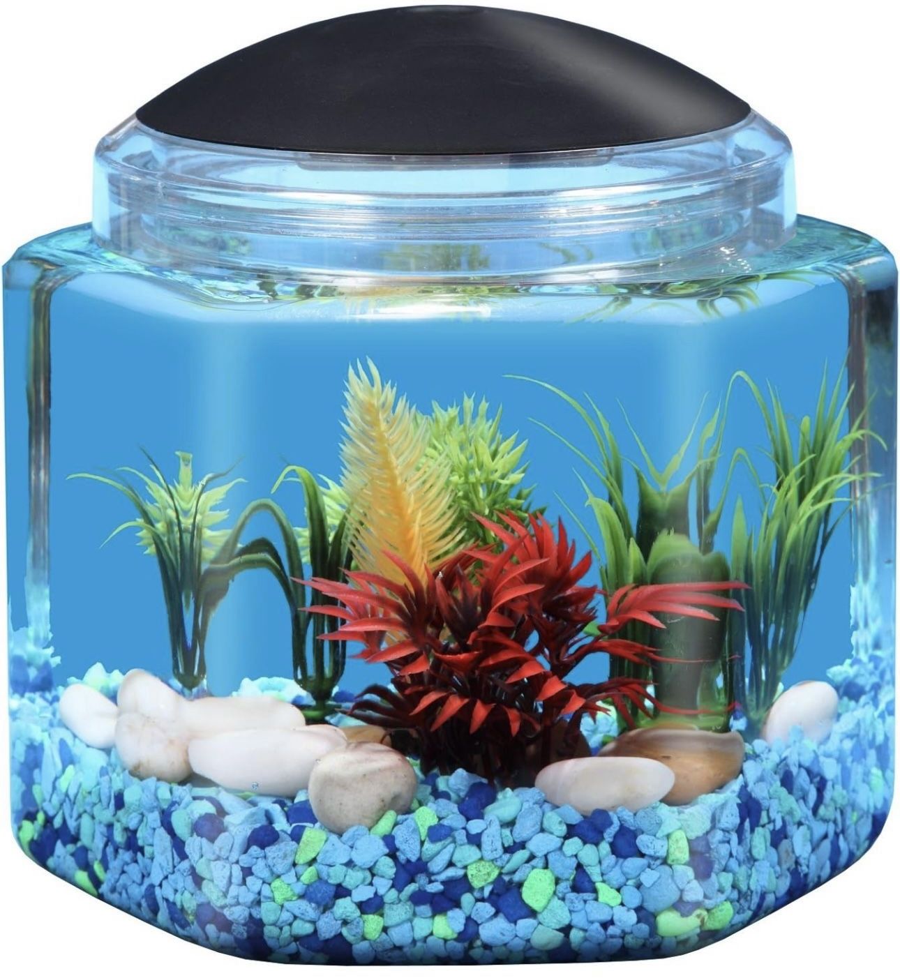Koller Products 1 Gallon Hex BettaTank - LED Lighting