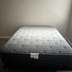 Adjustable Queen Mattress 