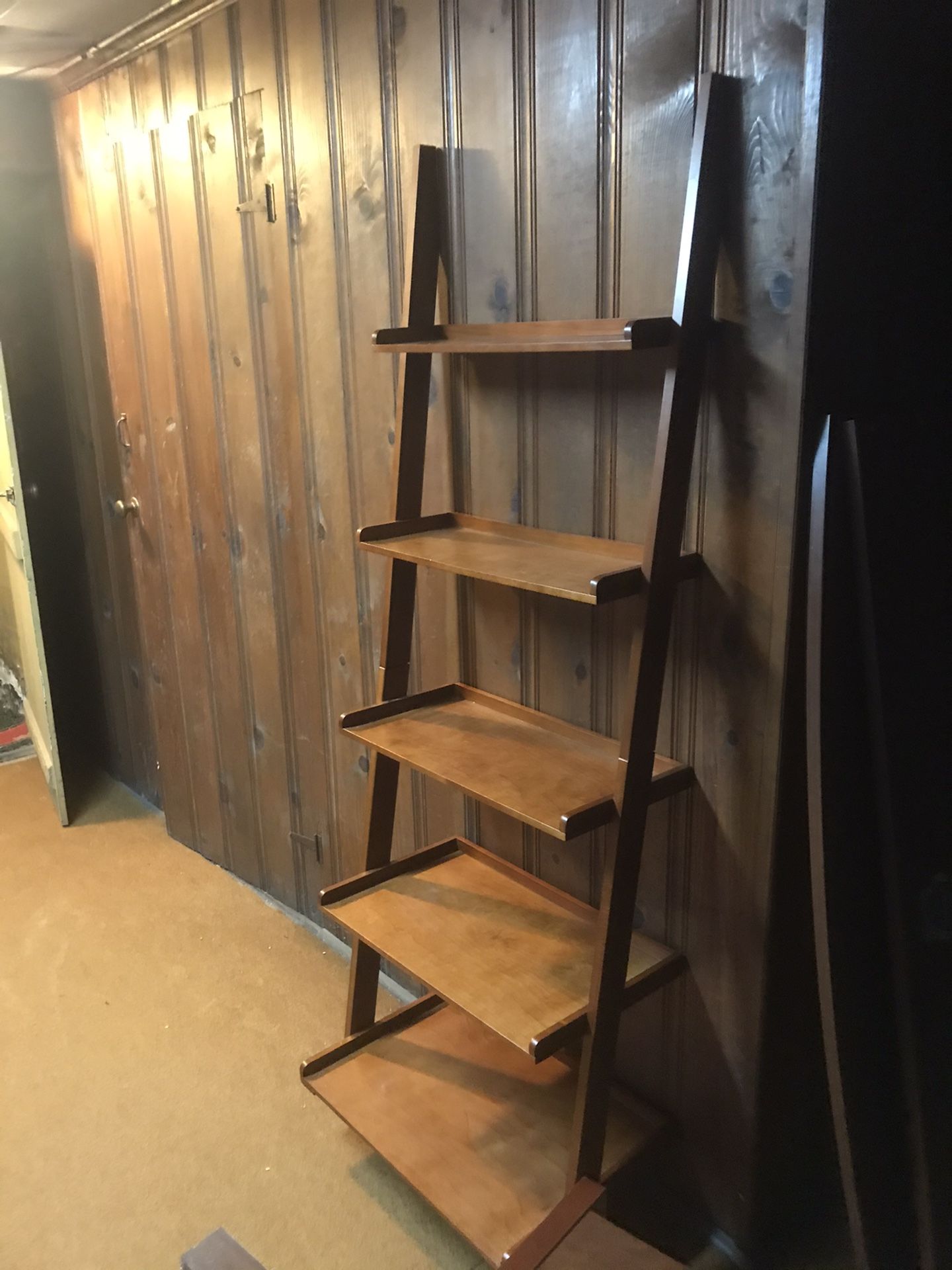 Ladder shelf