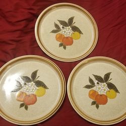 Set of 3 Mikasa Stone Manor TEMPTING Dinner Plates