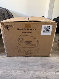 Cat little box
