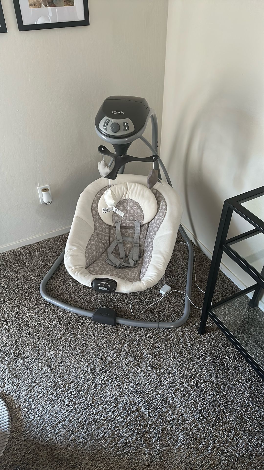 Graco Baby Swing