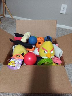 Massive Dog Toy Bundle – Angry Birds Plushies, Balls, & Chews!