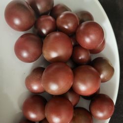 Organic Chocolate Cherry Tomato Seeds! 2026 SEASON EARLY RELEASE!