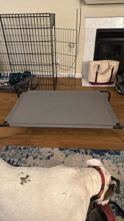 Raised Dog Bed -$10
