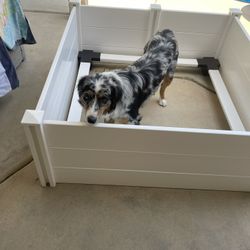 Whelping Box