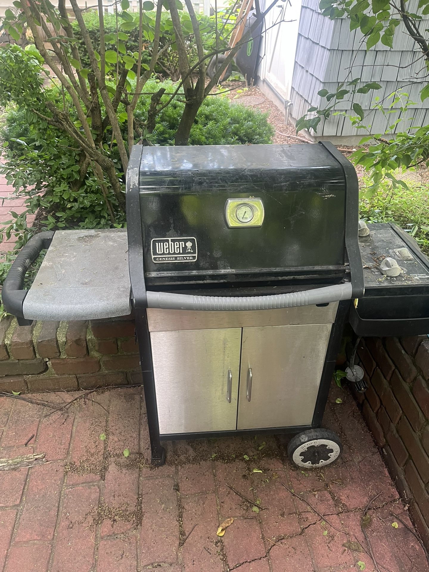 Weber Propane Grill