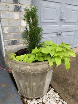 Concrete Flower Pots