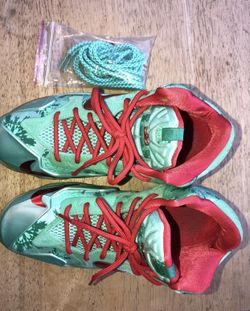 Nike LeBron 