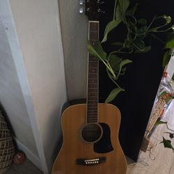 Aria Acoustic Guitar