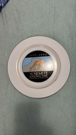 collector plate