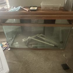 120 Gallon Aquarium (doesn’t hold water)