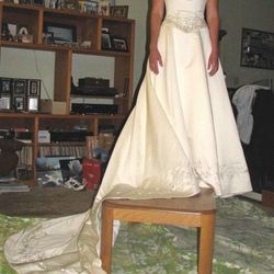 Wedding Dress, Never Worn