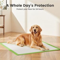 Gardner Pet Dog Pee Pads, XXL 28"x37", All Edge-Wrapped, ECO Thick Pad
Jumbo(2XL) 28"x37", Max Absorbency Disposable Puppy Pads for Cats, Potty Traini
