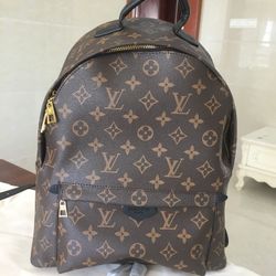 Louis Vuitton Monogram Palm Springs MM Brown Backpack