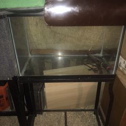 Reptile Tank, Stand, And Heater 