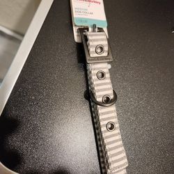 Boots &  Barkley Medium Dog Collar 