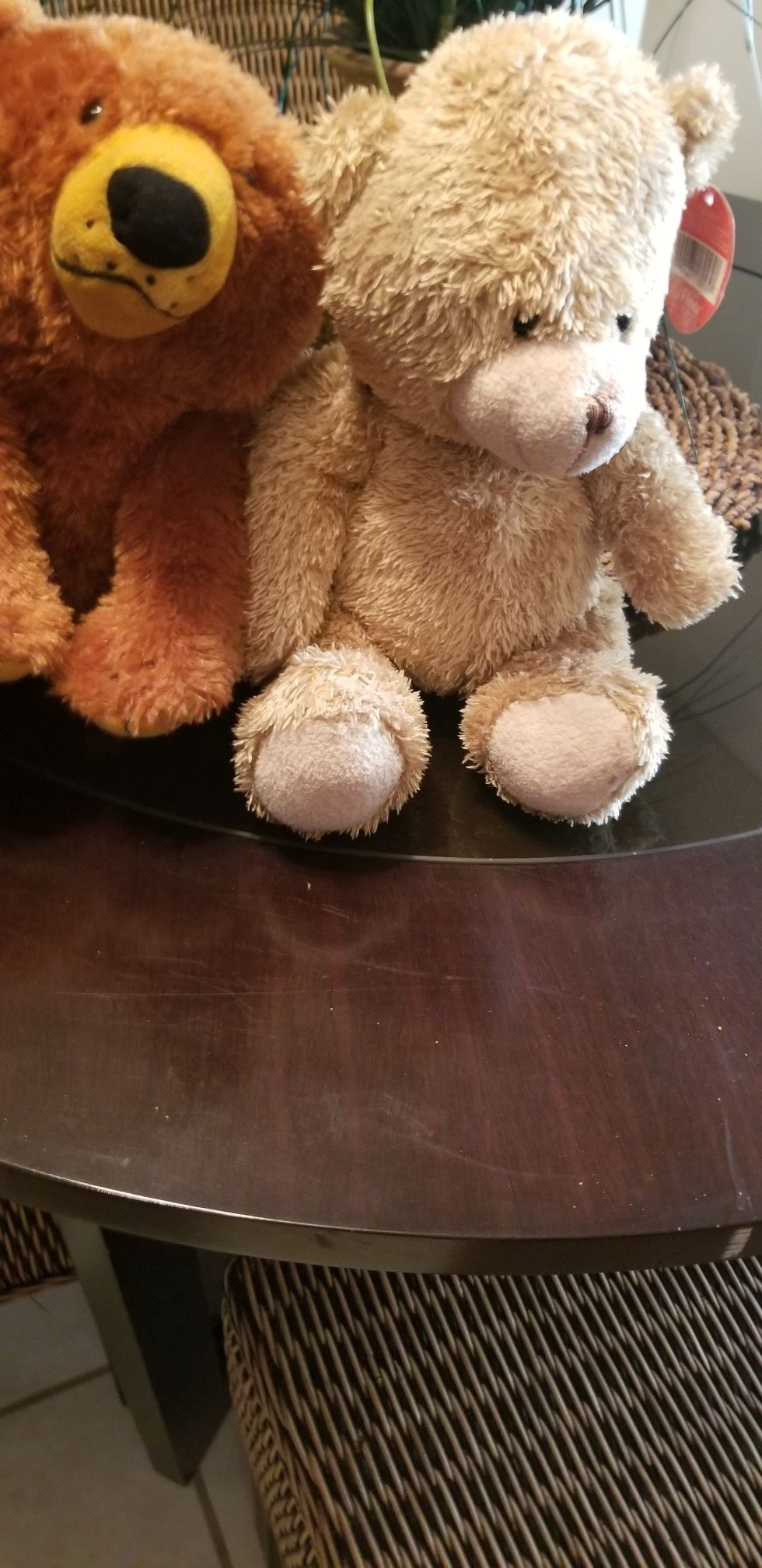 2 Free teddy bears