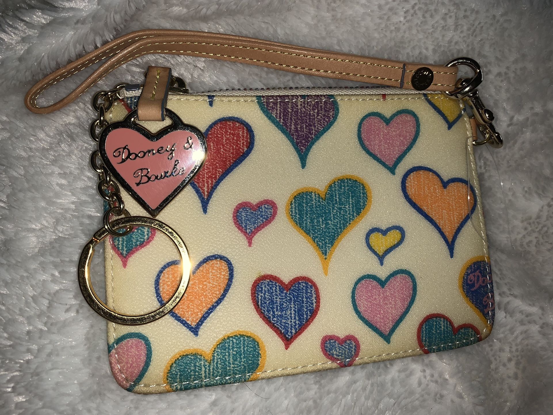 EUC Dooney & Bourke rainbow zipper wristlet