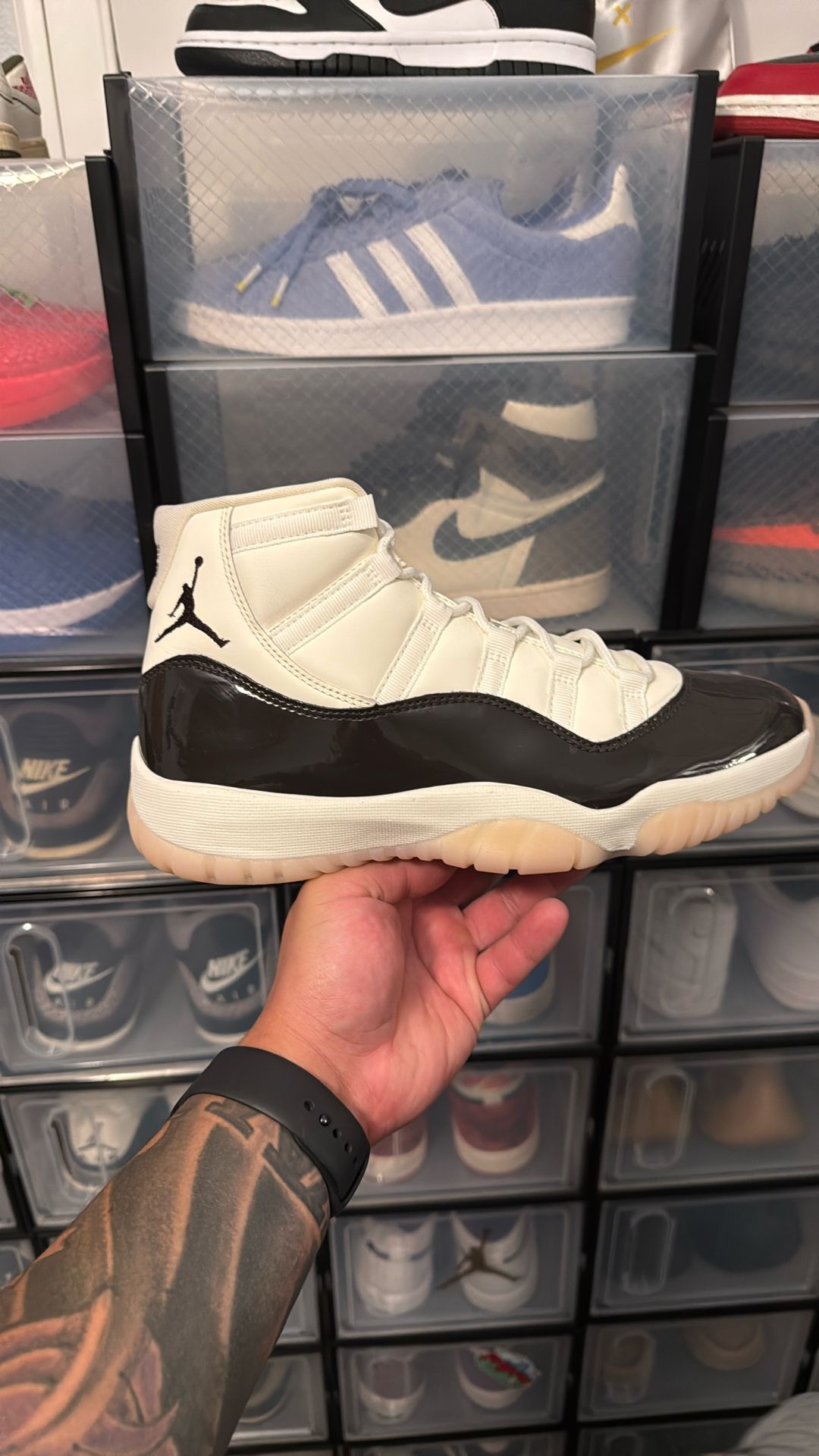 Jordan 11 Neapolitan 