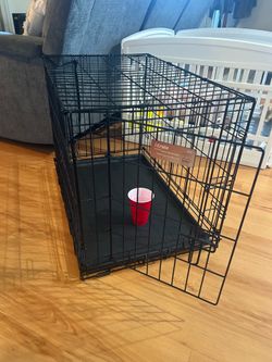 Dog Cage
