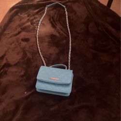 turquoise rodan +fields purse (slightly used)