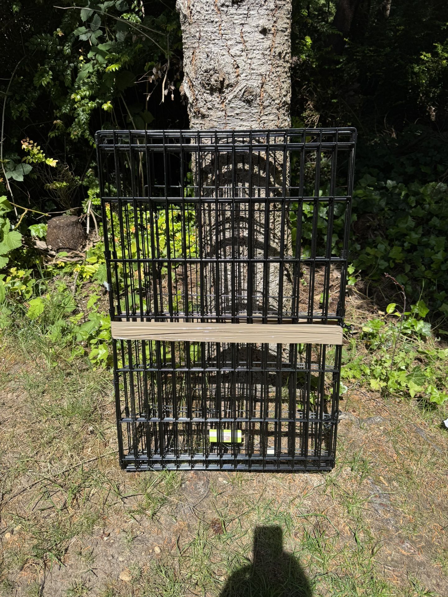 Exercise Pen