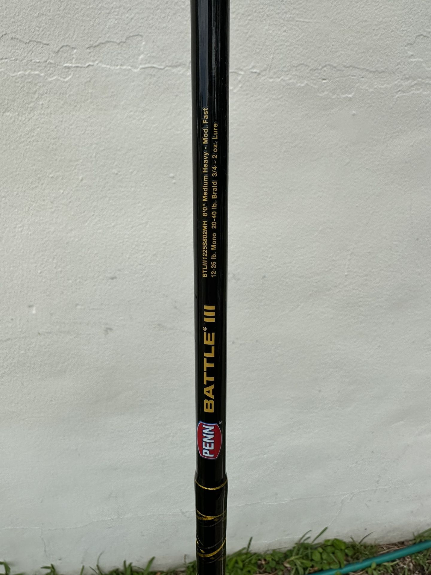 Spinning Rod