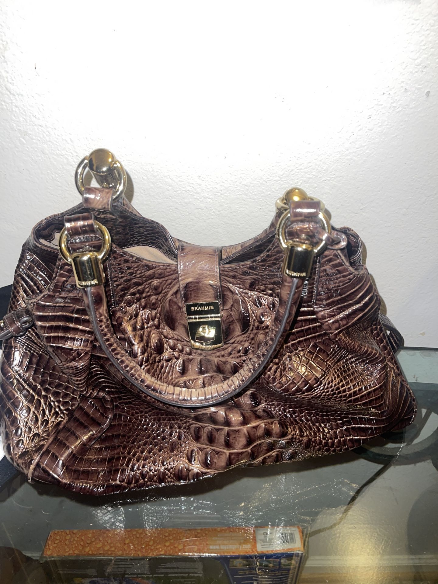 Brahmin Purse