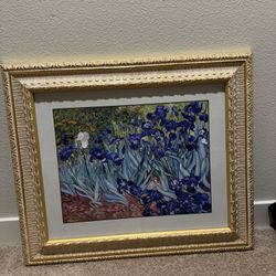 Vincent Van Gogh Irises Painting 