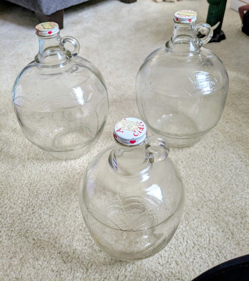 Apple Cider Jugs