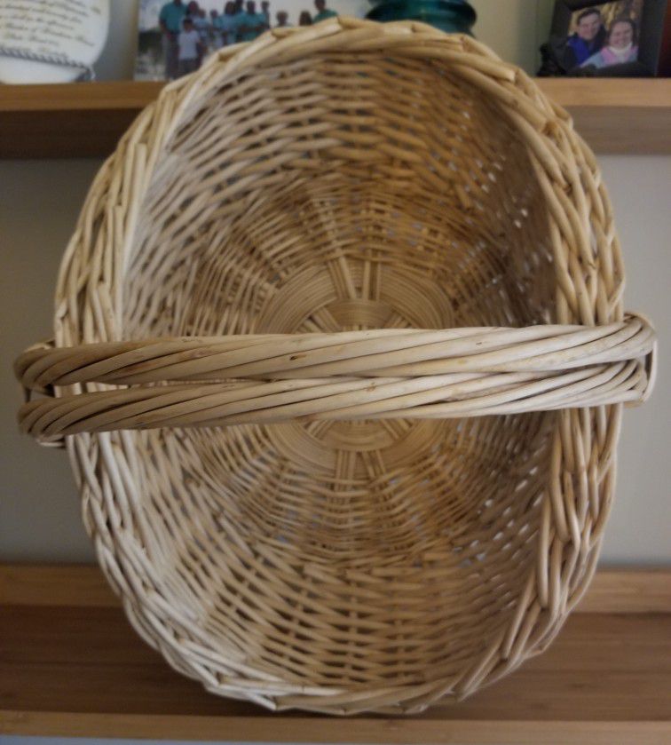 Oval Natural Willow Gathering Basket W/Handle 