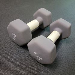 12lb Neoprene Coated Dumbbell Pair