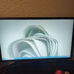 20 In Monitor 