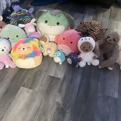 Squishmallows And Stuffed Animals