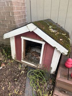 Free dog house